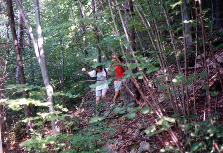 Baixant de Falgars pel bosc de la Mare de Deu