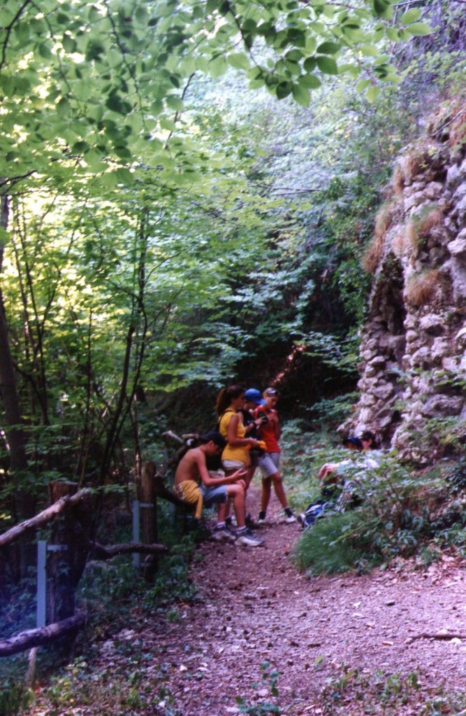 Cova de la Mare de Deu del bosc de Falgars