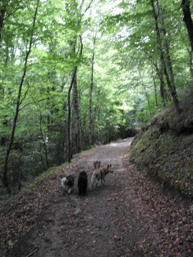 El equipo caminant cap la Salgueda_Agost 2012