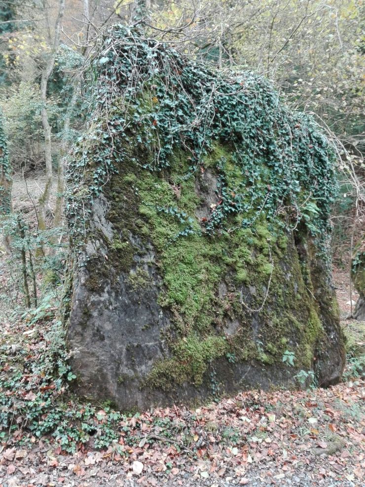 Menhir_la Salgueda
