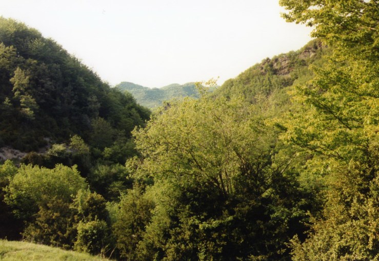 Baga d' Espaulella_Maig 2005