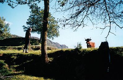 El alegre pastorcillo, octubre del 2002