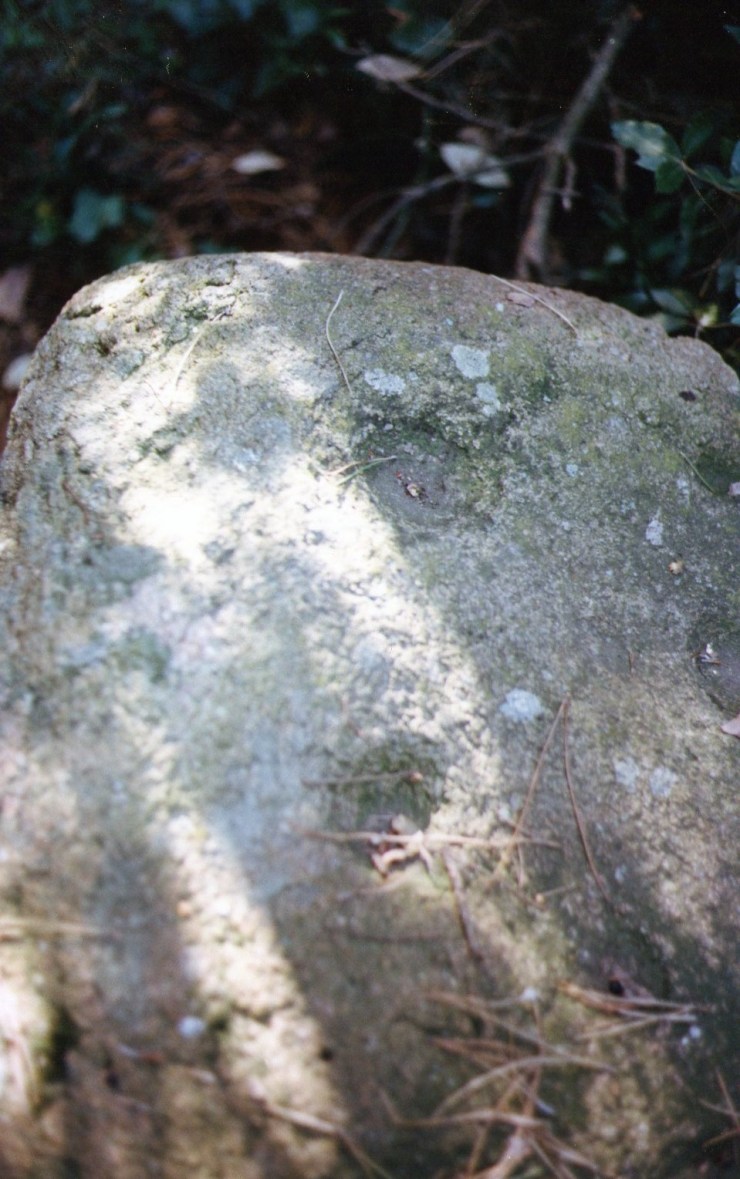 Localización del menhir de la rabassada_marzo 1994